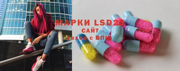 гашик Богородицк
