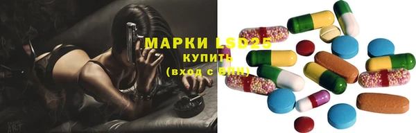 гашик Богородицк